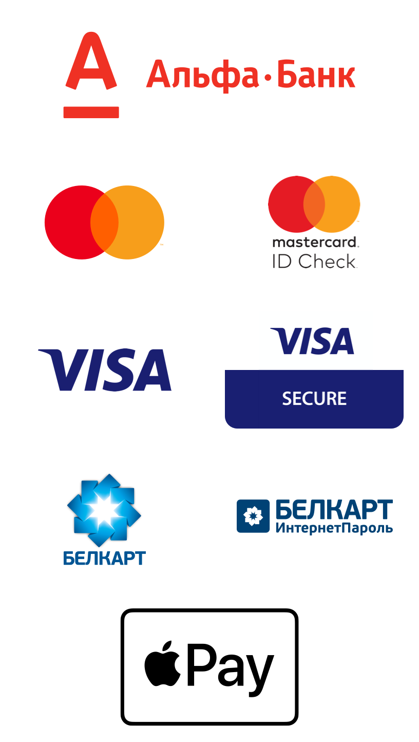 К оплате принимаются карты международных платежных систем VISA, MasterCard